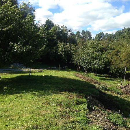 Cabanas El Mirador Hornopiren Zewnętrze zdjęcie